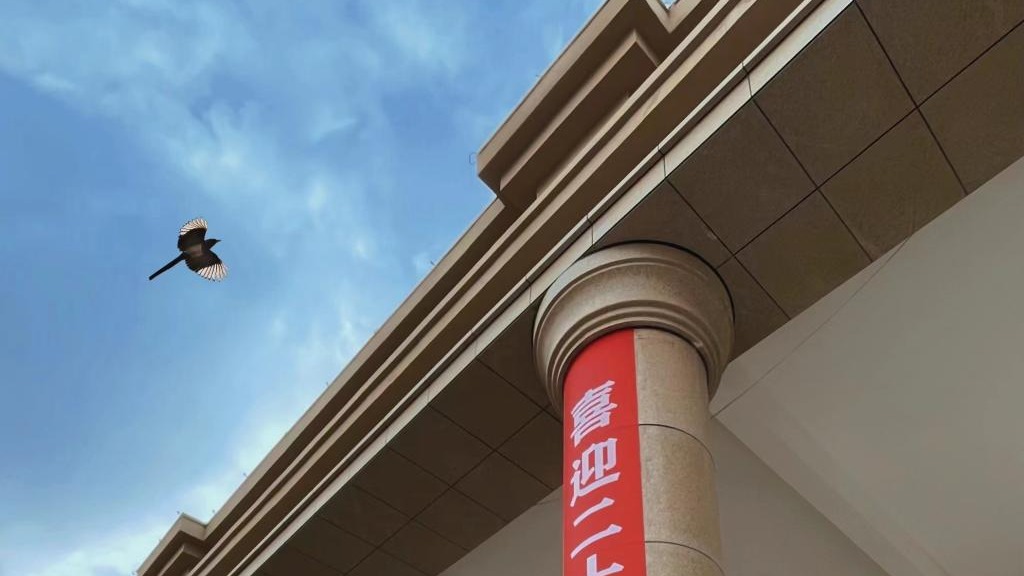 伟德国际victor1946师生喜迎二十大（组图）