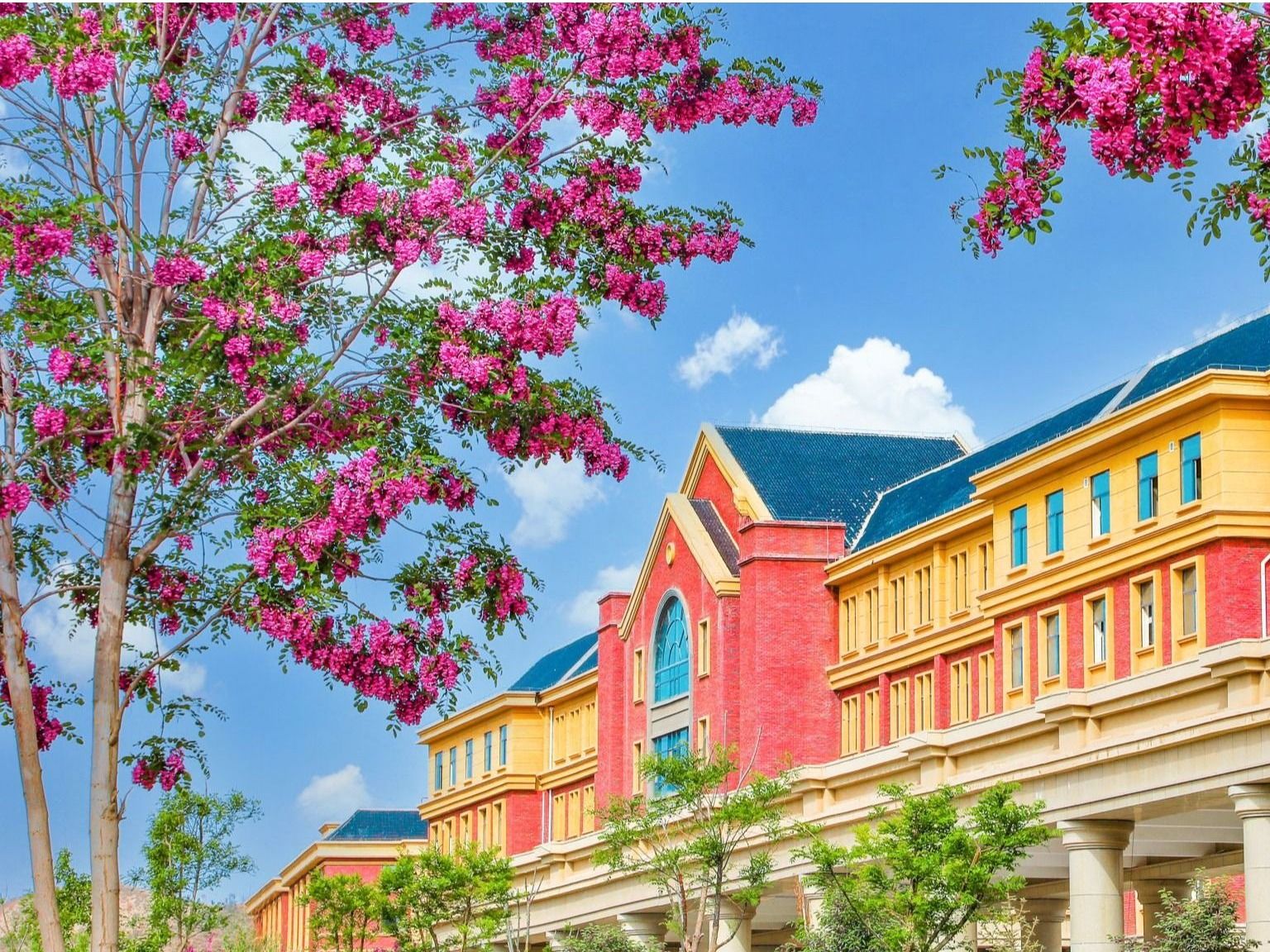 伟德国际victor1946：聚合资源，加强学科建设，培养高质量应用型人才